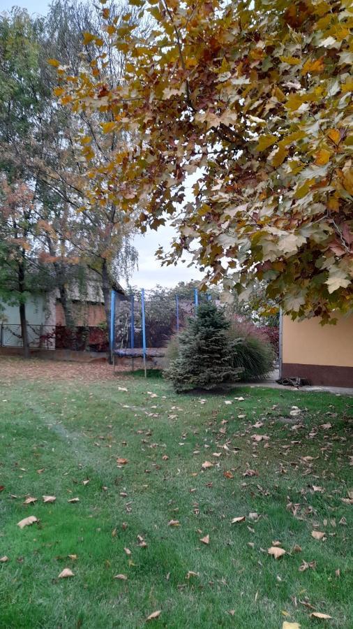 Szahara Vendeghaz Apartment Kerekegyhaza Bagian luar foto